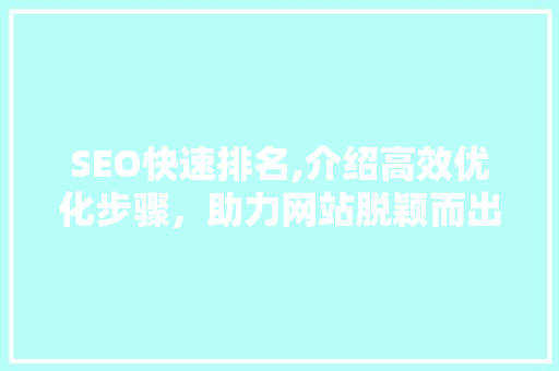 SEO快速排名,介绍高效优化步骤，助力网站脱颖而出
