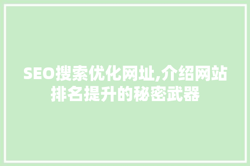 SEO搜索优化网址,介绍网站排名提升的秘密武器
