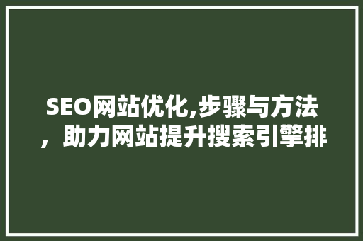 SEO网站优化,步骤与方法，助力网站提升搜索引擎排名