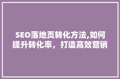 SEO落地页转化方法,如何提升转化率，打造高效营销利器