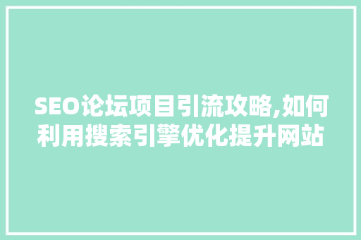SEO论坛项目引流攻略,如何利用搜索引擎优化提升网站流量