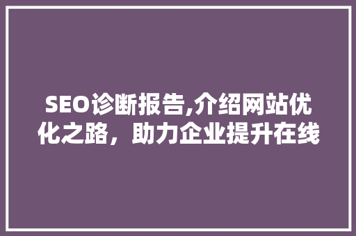 SEO诊断报告,介绍网站优化之路，助力企业提升在线竞争力