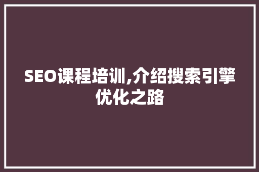 SEO课程培训,介绍搜索引擎优化之路