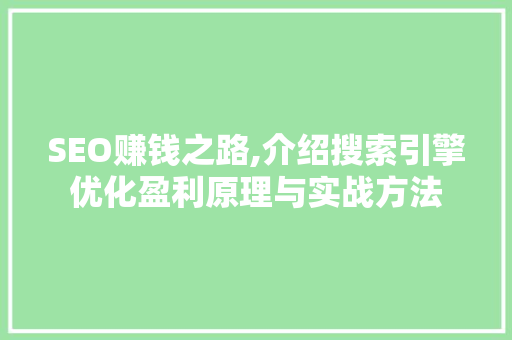 SEO赚钱之路,介绍搜索引擎优化盈利原理与实战方法