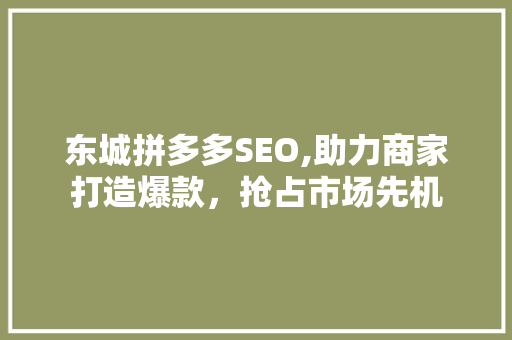 东城拼多多SEO,助力商家打造爆款，抢占市场先机