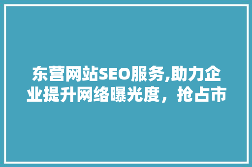 东营网站SEO服务,助力企业提升网络曝光度，抢占市场先机