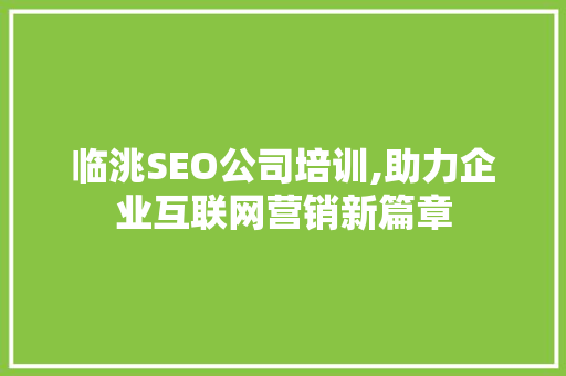 临洮SEO公司培训,助力企业互联网营销新篇章