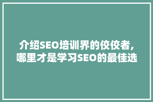 介绍SEO培训界的佼佼者,哪里才是学习SEO的最佳选择