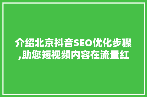 介绍北京抖音SEO优化步骤,助您短视频内容在流量红利中脱颖而出