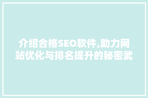 介绍合格SEO软件,助力网站优化与排名提升的秘密武器