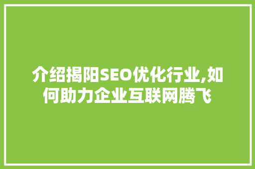 介绍揭阳SEO优化行业,如何助力企业互联网腾飞