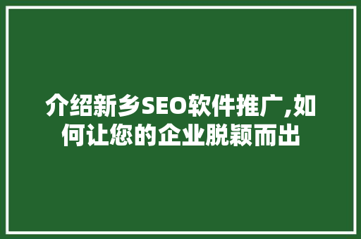 介绍新乡SEO软件推广,如何让您的企业脱颖而出