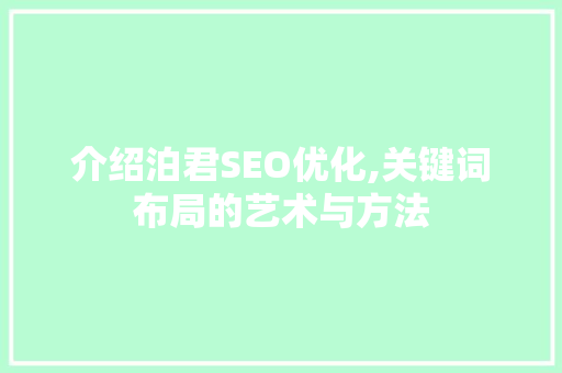 介绍泊君SEO优化,关键词布局的艺术与方法