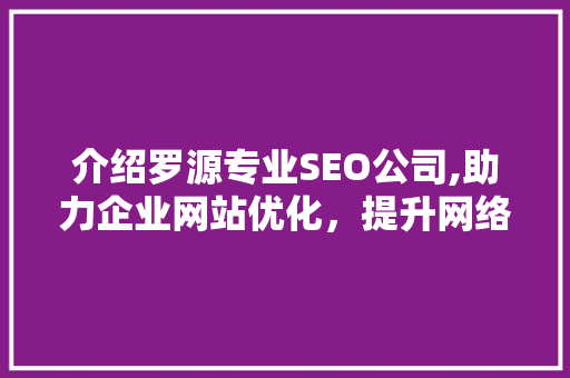 介绍罗源专业SEO公司,助力企业网站优化，提升网络竞争力