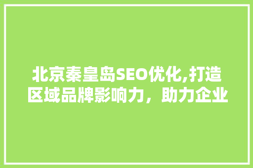 北京秦皇岛SEO优化,打造区域品牌影响力，助力企业腾飞