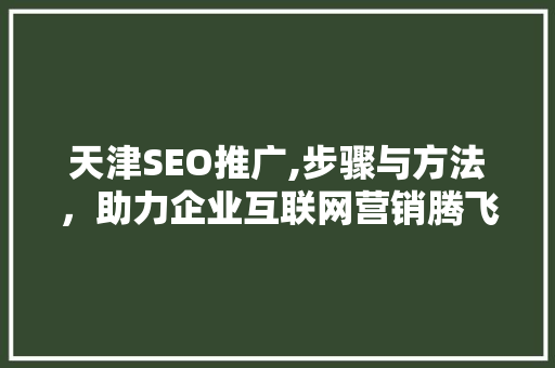 天津SEO推广,步骤与方法，助力企业互联网营销腾飞