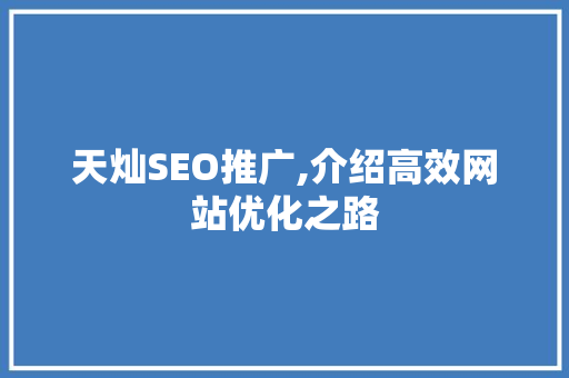 天灿SEO推广,介绍高效网站优化之路