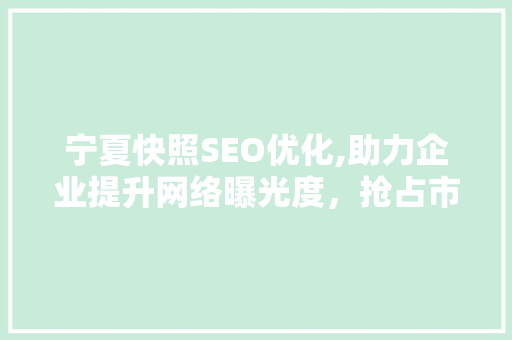 宁夏快照SEO优化,助力企业提升网络曝光度，抢占市场先机  第1张