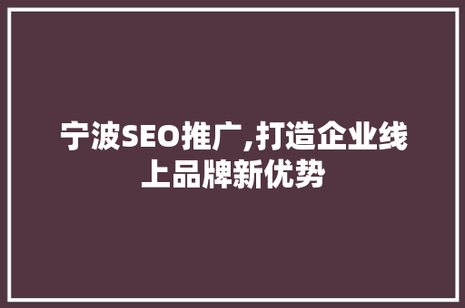 宁波SEO推广,打造企业线上品牌新优势