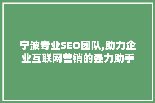 宁波专业SEO团队,助力企业互联网营销的强力助手