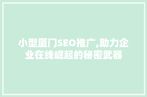 小型厦门SEO推广,助力企业在线崛起的秘密武器