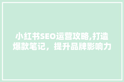 小红书SEO运营攻略,打造爆款笔记，提升品牌影响力