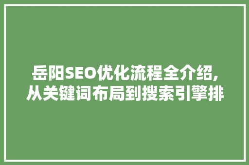 岳阳SEO优化流程全介绍,从关键词布局到搜索引擎排名提升