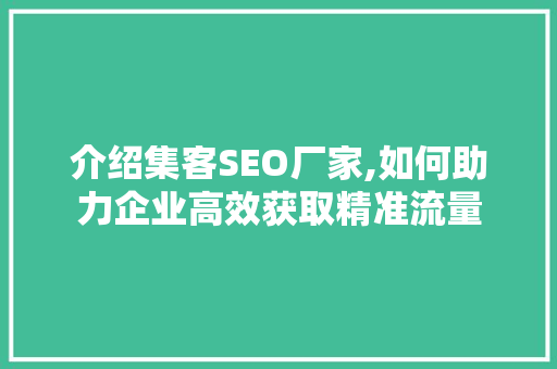 介绍集客SEO厂家,如何助力企业高效获取精准流量