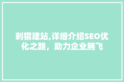 刺猬建站,详细介绍SEO优化之路，助力企业腾飞