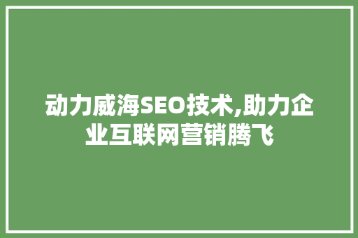 动力威海SEO技术,助力企业互联网营销腾飞