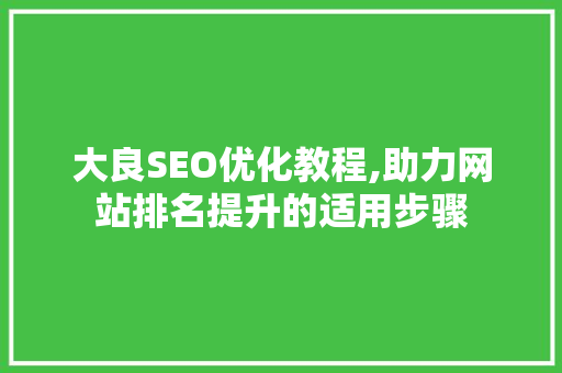大良SEO优化教程,助力网站排名提升的适用步骤