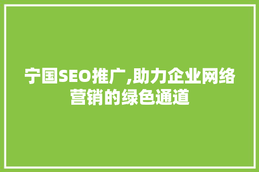 宁国SEO推广,助力企业网络营销的绿色通道