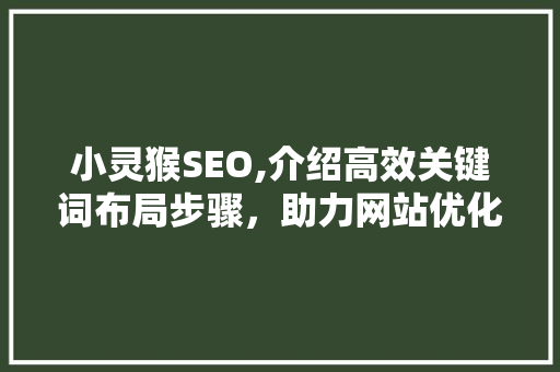 小灵猴SEO,介绍高效关键词布局步骤，助力网站优化