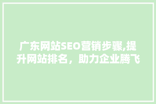 广东网站SEO营销步骤,提升网站排名，助力企业腾飞