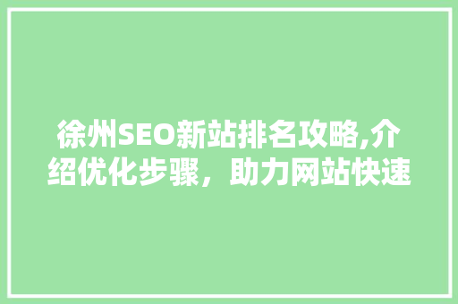 徐州SEO新站排名攻略,介绍优化步骤，助力网站快速崛起