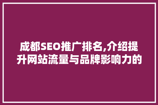 成都SEO推广排名,介绍提升网站流量与品牌影响力的方法