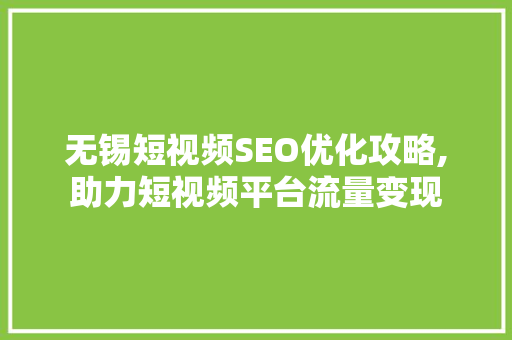无锡短视频SEO优化攻略,助力短视频平台流量变现
