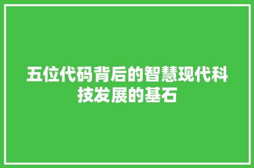 五位代码背后的智慧现代科技发展的基石
