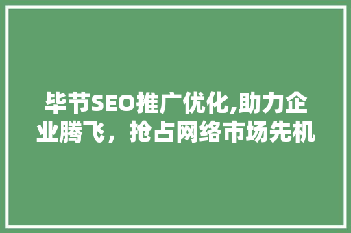 毕节SEO推广优化,助力企业腾飞，抢占网络市场先机