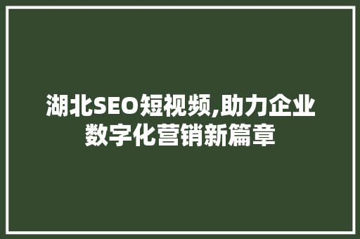 湖北SEO短视频,助力企业数字化营销新篇章