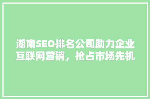 湖南SEO排名公司助力企业互联网营销，抢占市场先机