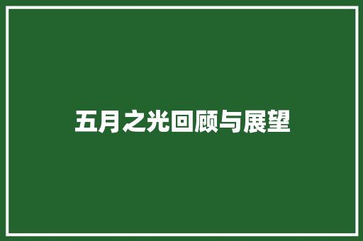 五月之光回顾与展望
