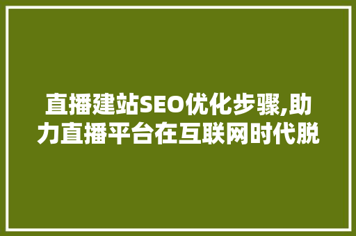 直播建站SEO优化步骤,助力直播平台在互联网时代脱颖而出