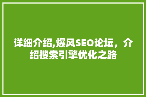 详细介绍,爆风SEO论坛，介绍搜索引擎优化之路