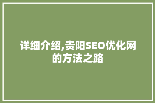 详细介绍,贵阳SEO优化网的方法之路