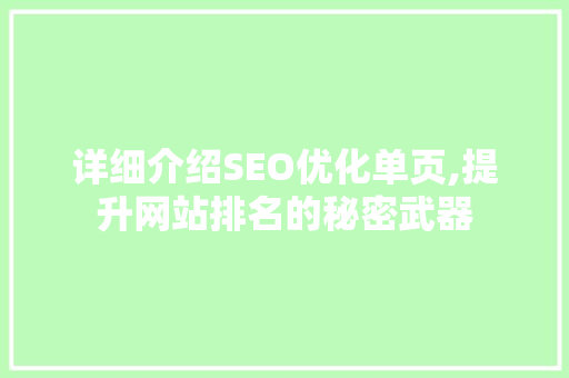 详细介绍SEO优化单页,提升网站排名的秘密武器