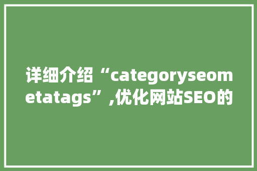 详细介绍“categoryseometatags”,优化网站SEO的关键步骤