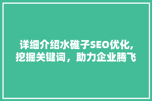 详细介绍水碓子SEO优化,挖掘关键词，助力企业腾飞