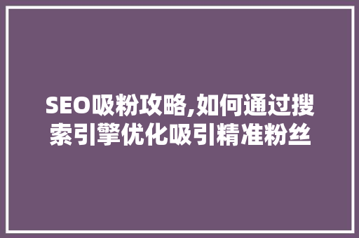 SEO吸粉攻略,如何通过搜索引擎优化吸引精准粉丝