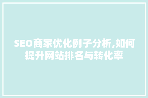 SEO商家优化例子分析,如何提升网站排名与转化率  第1张